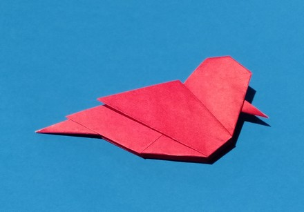 Little bird