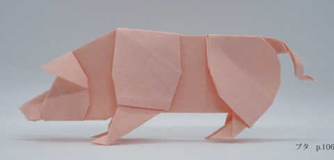 Pig