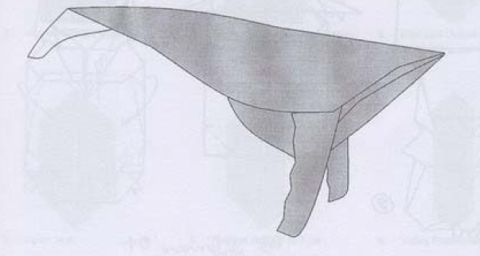 Blue whale