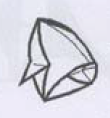 Fish head