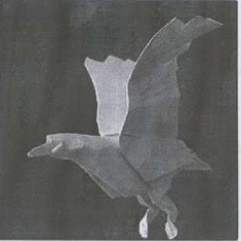 Seagull