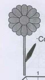 Daisy
