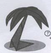 Palm tree