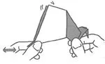 Flapping bird
