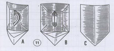 Shield