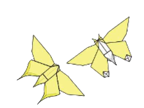 Friendship butterfly