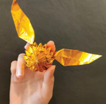 Golden snitch