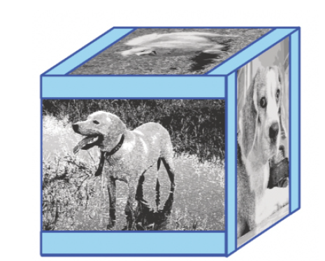 Cube: framed forever
