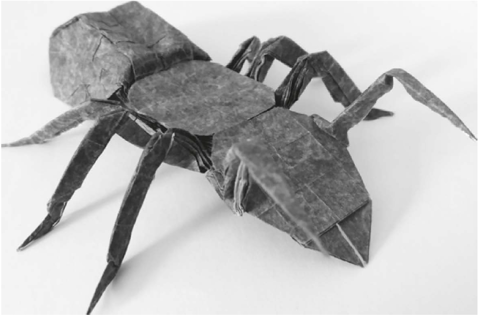 Ant