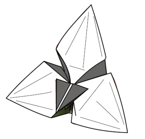 Orchid 2