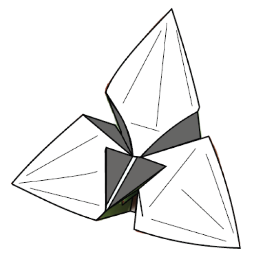 Orchid 2