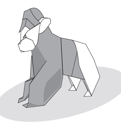 Baby gorilla