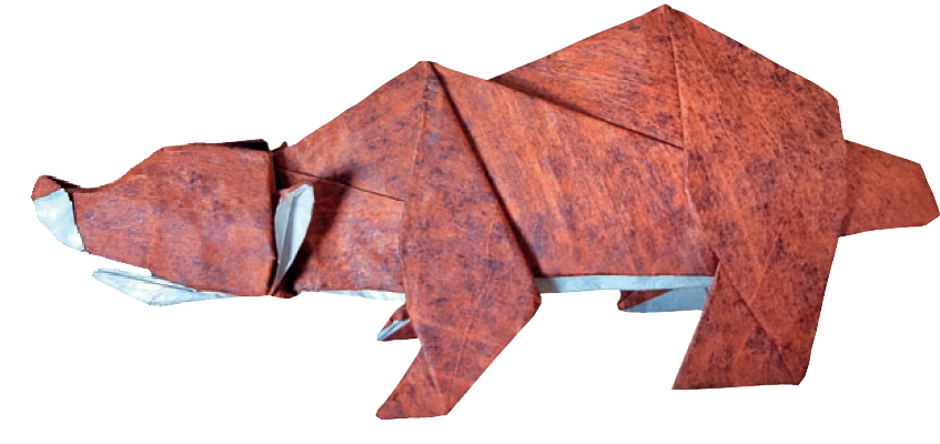 Bear