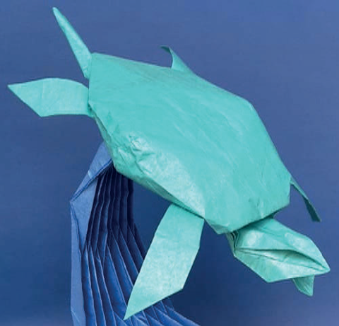 Sea turtle