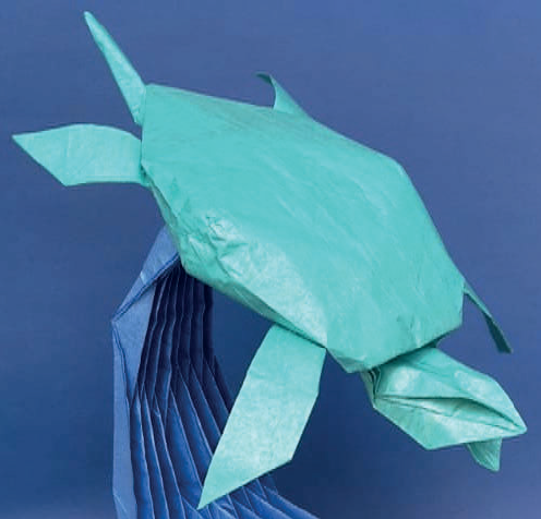 Sea turtle