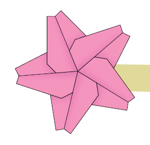 Cherry blossom