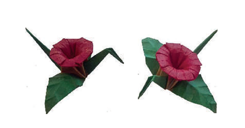 Coca flower crane