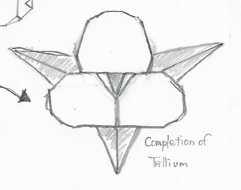 Trillium ver 2.1