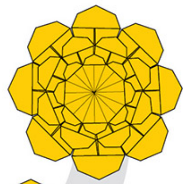 Floral perpetua