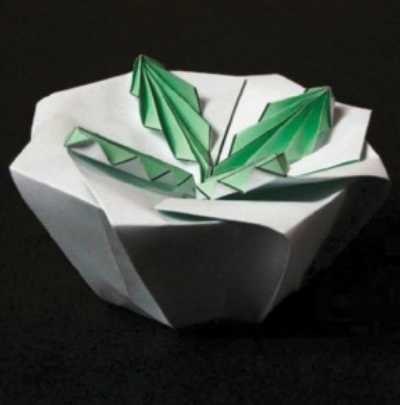 Four-leaf tato box