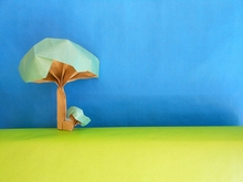 Tree and bush