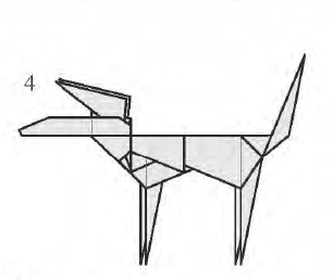 Coyote