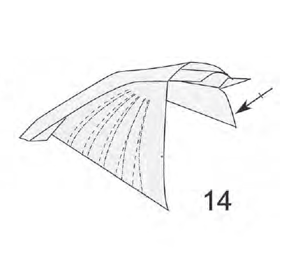 Swallow