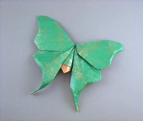 American luna moth