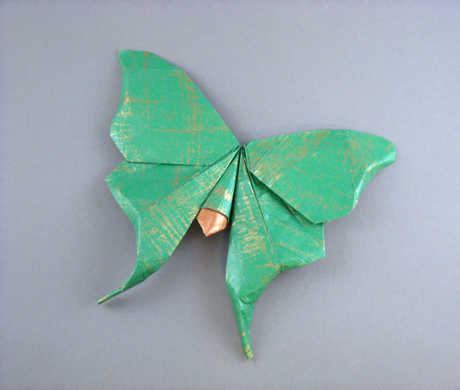 American luna moth