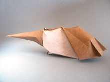 Anteater