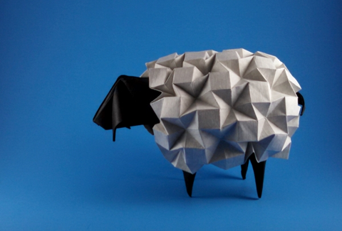 Sheep