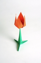 Star and simple flower