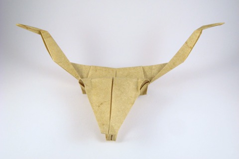 Longhorn cow skull