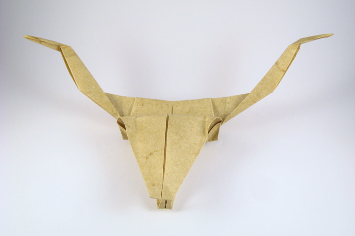 Longhorn cow skull