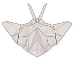 F117