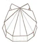 Shell-shaped box