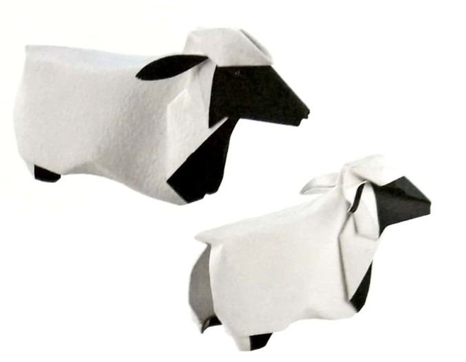 Sheep