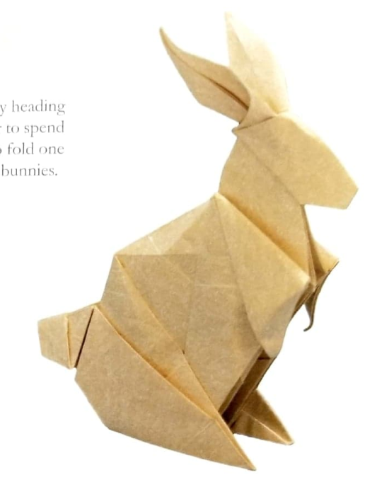 Rabbit