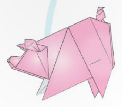 Scolli pig