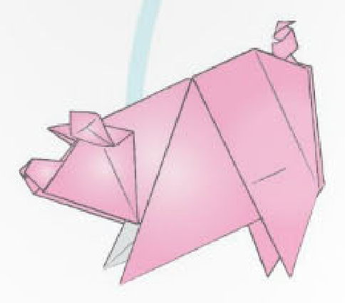 Scolli pig