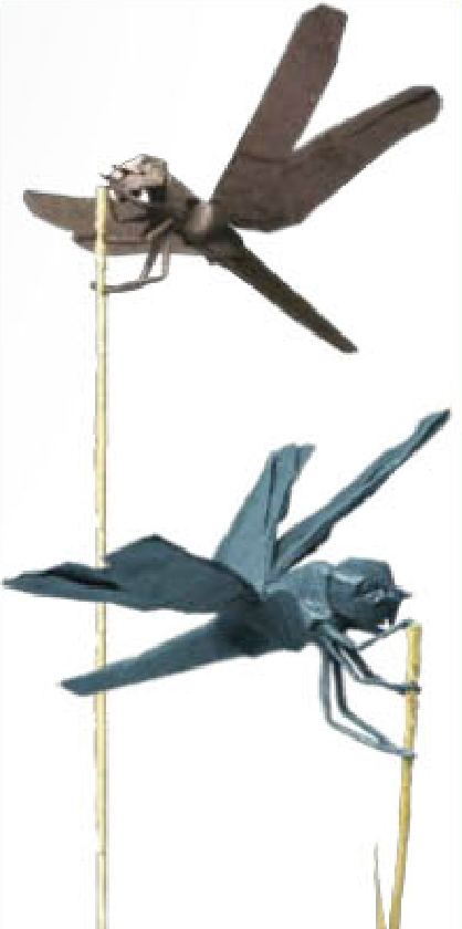 Dragonfly TPS