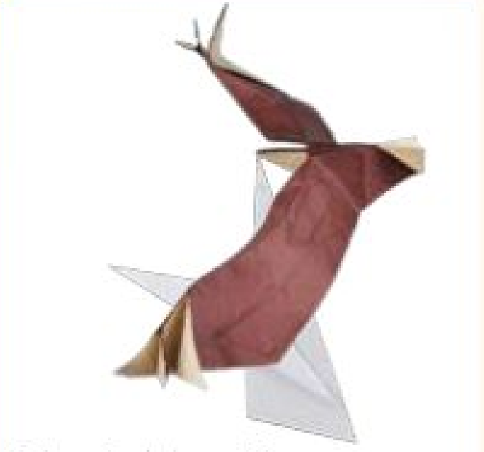 Balance eagle