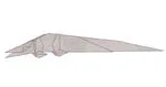 Tylosaurus