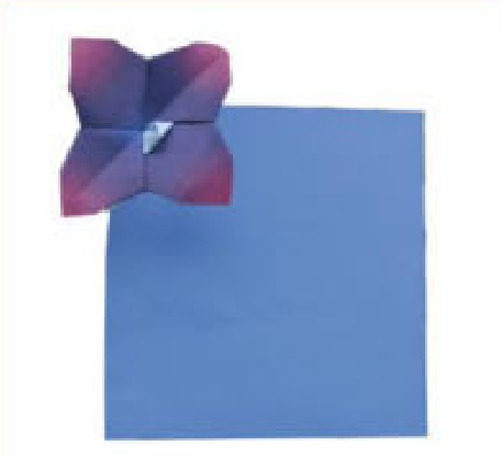Orchid paperclip