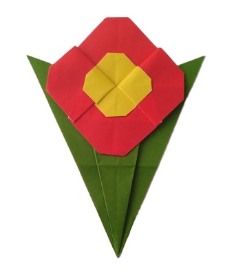 Pocket posy