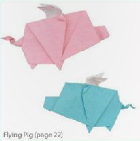 Flying pig
