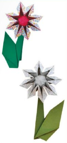 Star flower