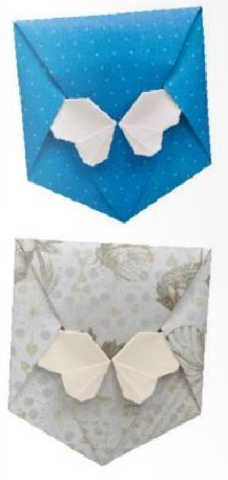 Butterfly envelope