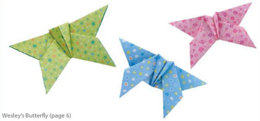 Wesley's butterfly