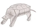 Tortoise
